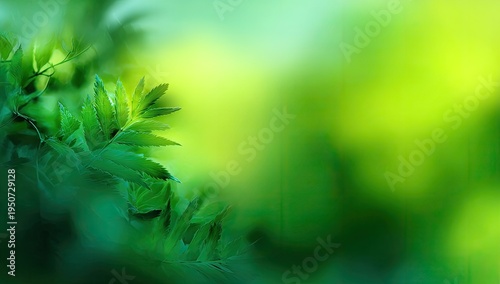 Vibrant Green Foliage with Soft Bokeh Background.