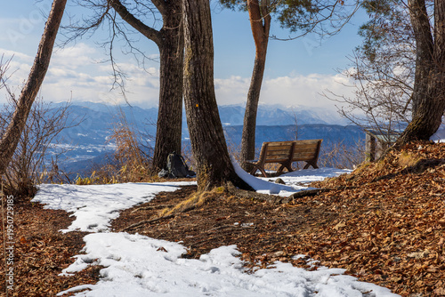 Bench with a view