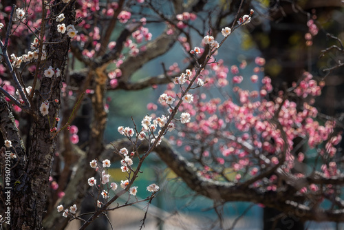 Early signs of Spring