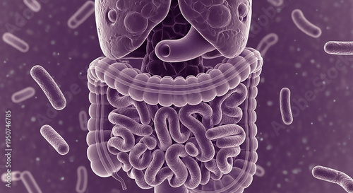 Wallpaper Mural Human Digestive System with Gut Bacteria – Microbiome Health Illustration Torontodigital.ca