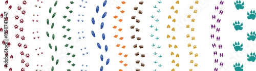 Colorful vector animal footprint trails and cute paw prints collection illustration for pet shop graphic design and commercial wildlife tracking concept isolated on white background