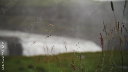 Grass in Foreground with Waterfall Landscape in Iceland