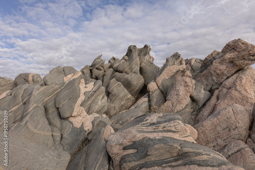 Swirls of light and dark metamorphic rock create this weathered formation at Unicorn Point on Antelope Island State Park Utah USA. 