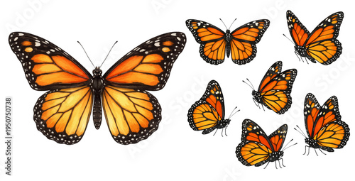 A beautiful collection of watercolor monarch butterflies, featuring vibrant orange and black wings with delicate white spotted edges in various flying positions, isolated on a transparent background.