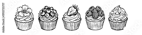 Hand-drawn sketches of five decorative cupcakes with berry and floral toppings. Minimalist black and white line art isolated on white background, perfect for bakery menus and coloring pages.