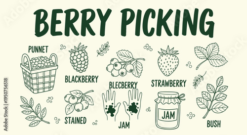 Set of 16 berry picking icons vector, illustrations