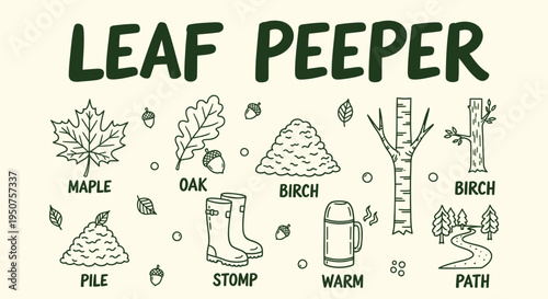 Set of 16 leaf peeper icons vector