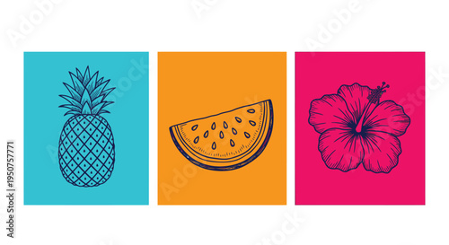 Set of 3 tropical icons vector, pineapple, melon, hibiscus