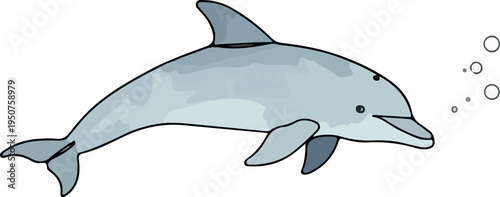 Simple Dolphin Illustration with Bubbles on White Background