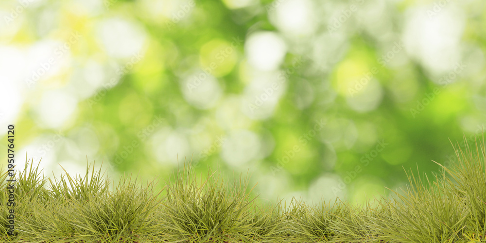 Fototapeta premium Vibrant grass against blurred green background. Banner design