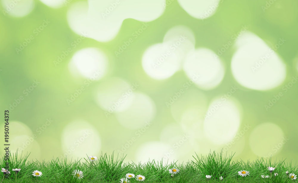 Naklejka premium Bright daisy flowers and lush green grass growing outdoors. Spring season