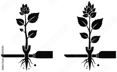Plant grafting and root transplant icon with gardening tool silhouette for growth and propagation.