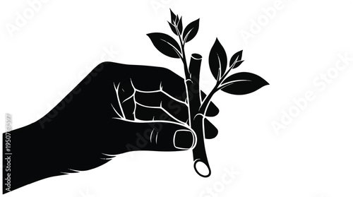 A silhouetted hand gently holds a small plant cutting with leaves, evoking gardening, propagation, plant care, nurture, sustainable growth, and environmental stewardship.