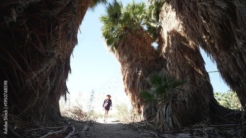 A mature woman walks through the Dos Palmas oasis near Salton Sea in California while enjoying the natural surroundings.