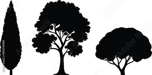 Set of three distinct tree silhouettes vector graphic with varying shapes and sizes