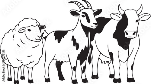 Black and white line drawing of a sheep and two cows standing