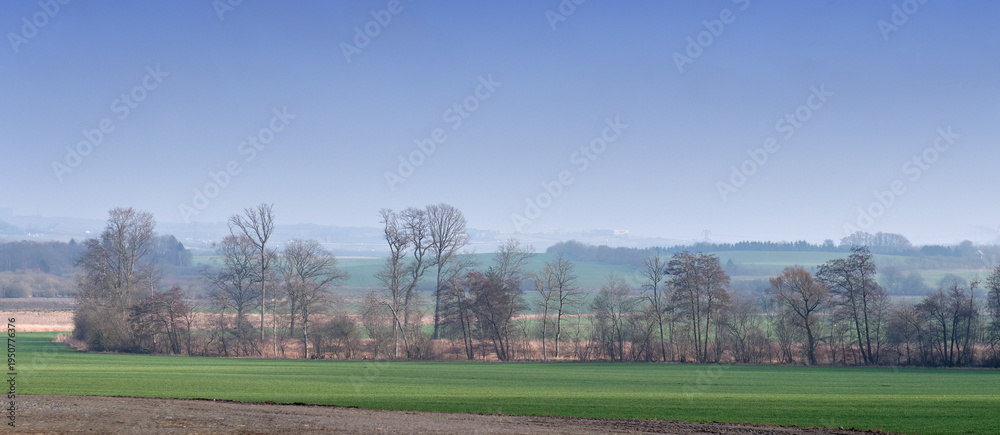 Fototapeta premium Landscape, sky and field with woods on horizon, hill and banner with season change in ecosystem. Outdoor, environment and location in forest with sustainability, autumn and space in countryside