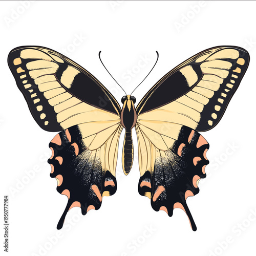 simple vector swallowtail butterfly clipart illustration white background vector art style simple design flat illustration no shadows