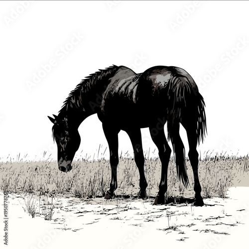 black silhouette horse on a white backgrounk vector