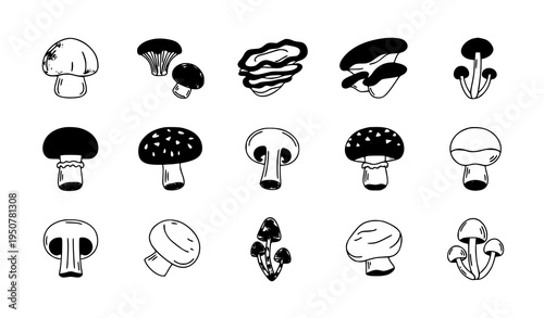 Edible mushroom outline icon set with botanical fungi varieties for food and nature design