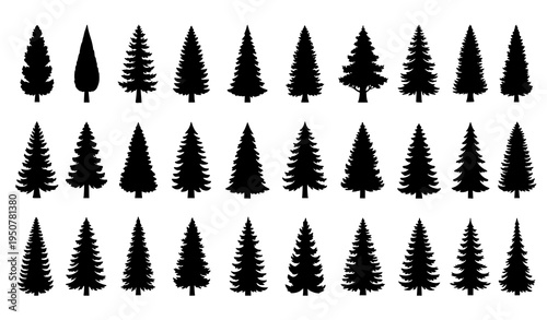 Pine tree silhouette vector set with evergreen conifer forest trees nature elements