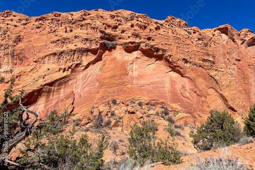 Bild auf Leinwand A view of an alcove and desert varnish in Utah.