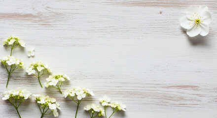 Minimalist corner border design showcases tiny white blossoms against a distressed white wooden backdrop with ample copy space available.