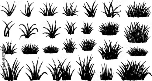 Set of grass vector and Grass vector by hand drawing on white background