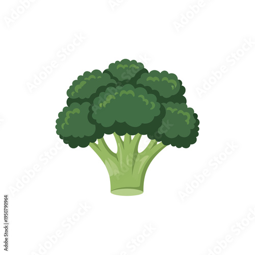 Fresh green broccoli floret icon illustration, a healthy and organic vegetable often used in cooking and as a nutritious food ingredient