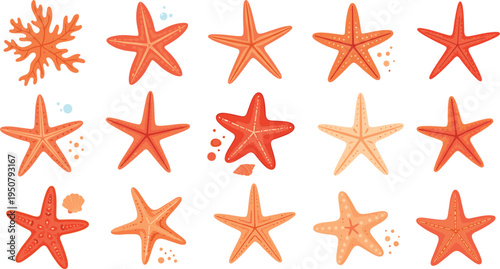 Colorful starfish and coral character set with various shapes and tropical colors for marine life ocean nature beach summer and aquatic education design projects