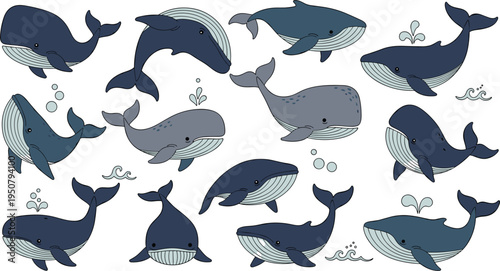 Cute blue whale character set with various poses and species including humpback sperm and blue whales for marine life ocean nature and children design projects