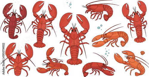 Red lobster character set with various poses and swimming angles for marine life seafood restaurant ocean nature and aquatic education design projects