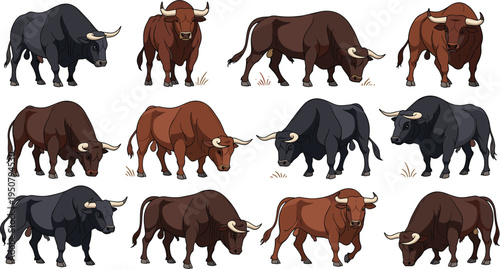 Strong bull character set with various poses and colors including black and brown cattle for farm agriculture ranch and spanish bullfight design projects