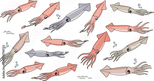 Vector squid character set with various poses and colors including pink and grey calamari for marine life sea food ocean nature and education design