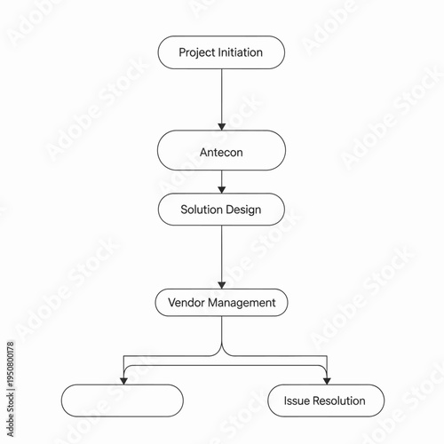 Flowchart illustrating the project management process from initiation through solution design, vendor management, and issue resolution.