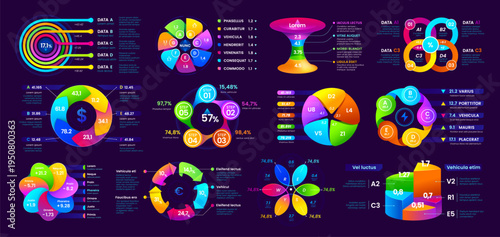 Presentation infographics diagram chart elements template layout, vector info graphs. Infographic pie, step, circle and flow charts, abstract circular pyramid and progress diagrams
