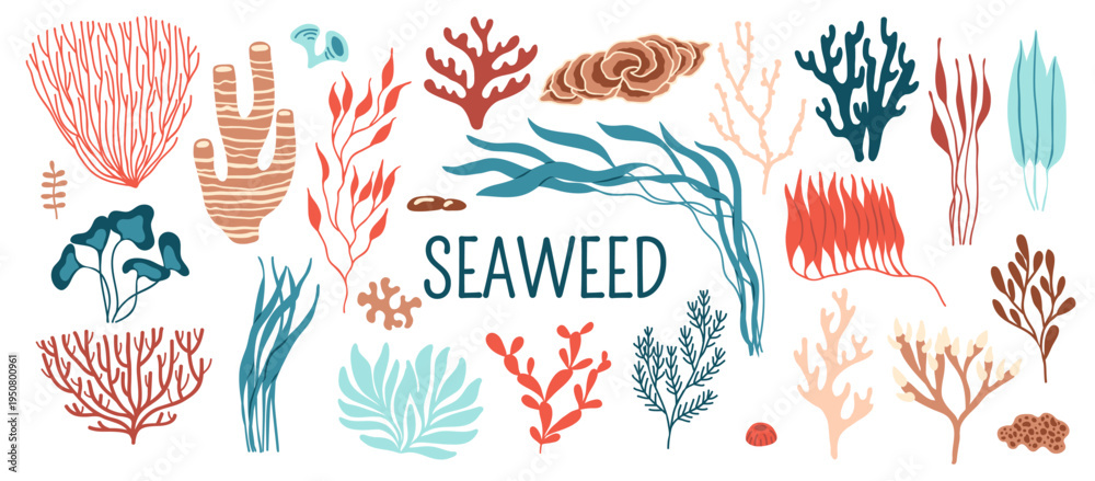 Obraz premium Underwater seaweed and sea algae plants vector icons. Ocean coral reef marine water alga weeds and corals, red and brown algae, kelp, seagrass and rhodymenia, laminaria and spirulina seaweeds set