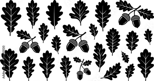 Autumn oak leaves and acorns branch design, fall decoration, EPS Vector.
