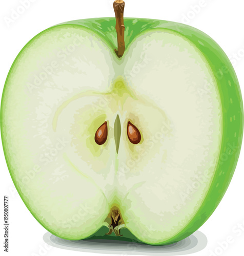 Green Apple Slice Isolated Object Realistic Vector Healthy Food