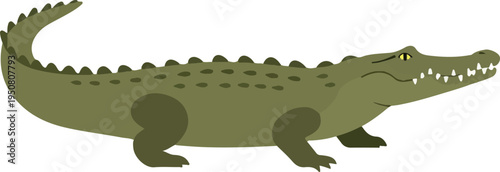 Green Crocodile Vector Illustration Flat Design Isolated Object Reptile