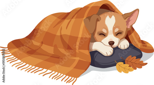 Cute Chihuahua Puppy Sleeping Cozy Under Plaid Blanket Autumn Leaves