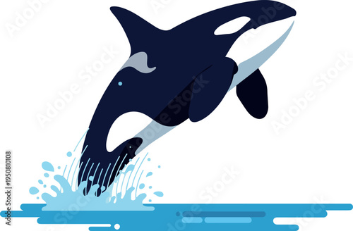 Jumping Orca Killer Whale Ocean Water Splash Flat Design Vector