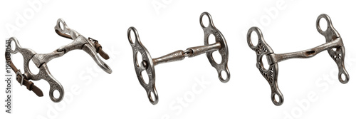 Vászonkép Set and collection of vintage metal horse bits, antique equestrian bridle bits,