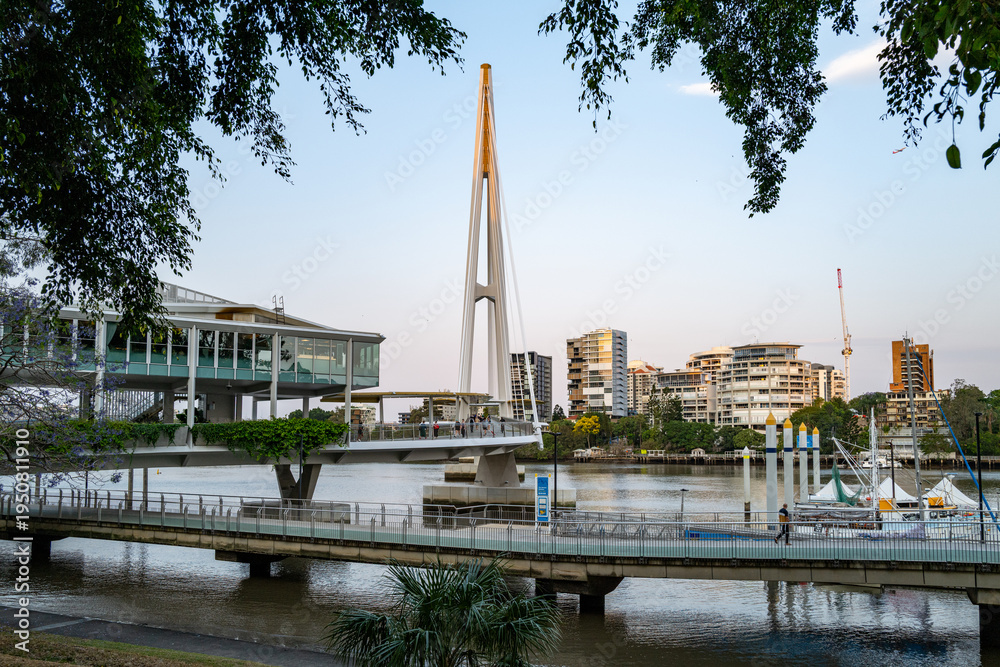 Obraz premium The modern Kangaroo Point Green Bridge spans the Brisbane River, connecting the CBD to Kangaroo Point with its distinct single-mast cable design.