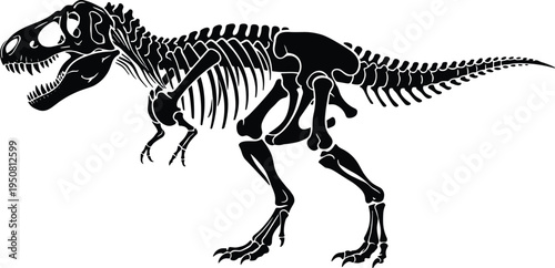 WebTyrannosaurus rex dinosaur skeleton silhouette, prehistoric T-Rex fossil vector illustration, paleontology and museum exhibit icon for science and education.