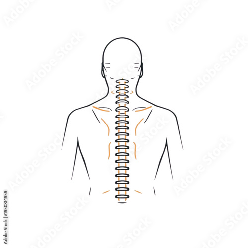 Human Spine Anatomy Back Pain Concept – Neck and Back Chiropractic Illustration. Ai generated