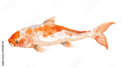Watercolor Koi Fish Clipart Japanese Style Elegant Aquatic Illustration for Graphic Resources