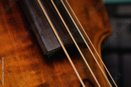 Принти на полотні Macro shot of a classic wooden double bass showing the texture of the strings an