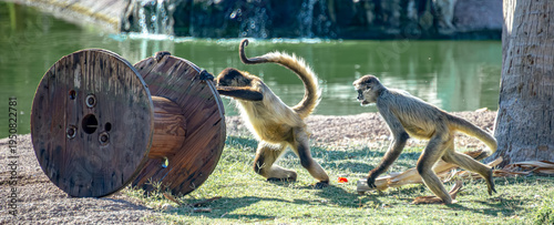 Fotografija These images highlight the role of zoos in preserving biodiversity