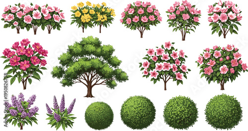 Spring flowering trees shrubs and garden bushes collection with pink yellow blossoms and green foliage botanical vector landscape elements set